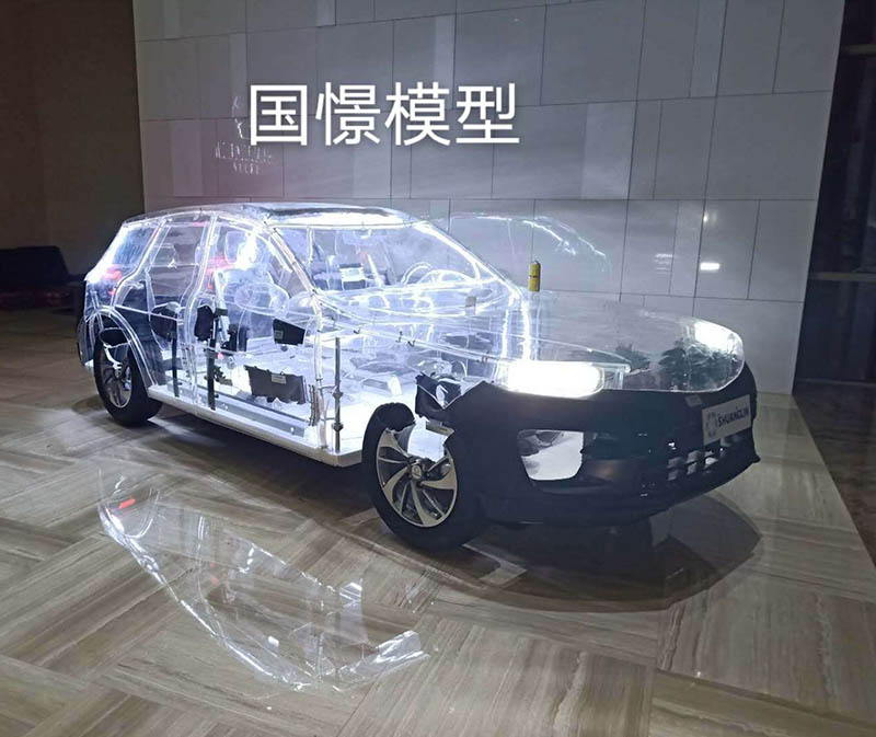 宁阳县透明车模型